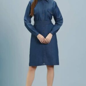 Women’s Denim Shirt Style Dress
