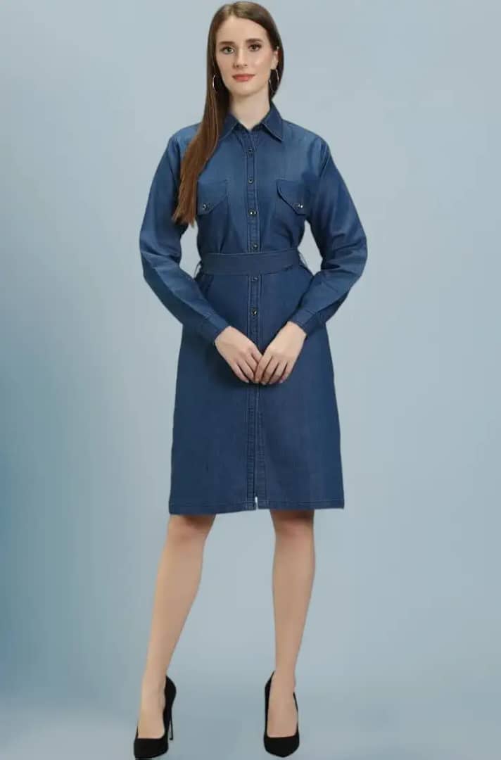 Women's Denim Shirt Style Dress